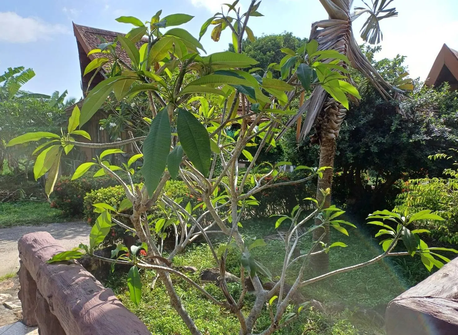 Guest house Orchid Home Koh Tao Thailand